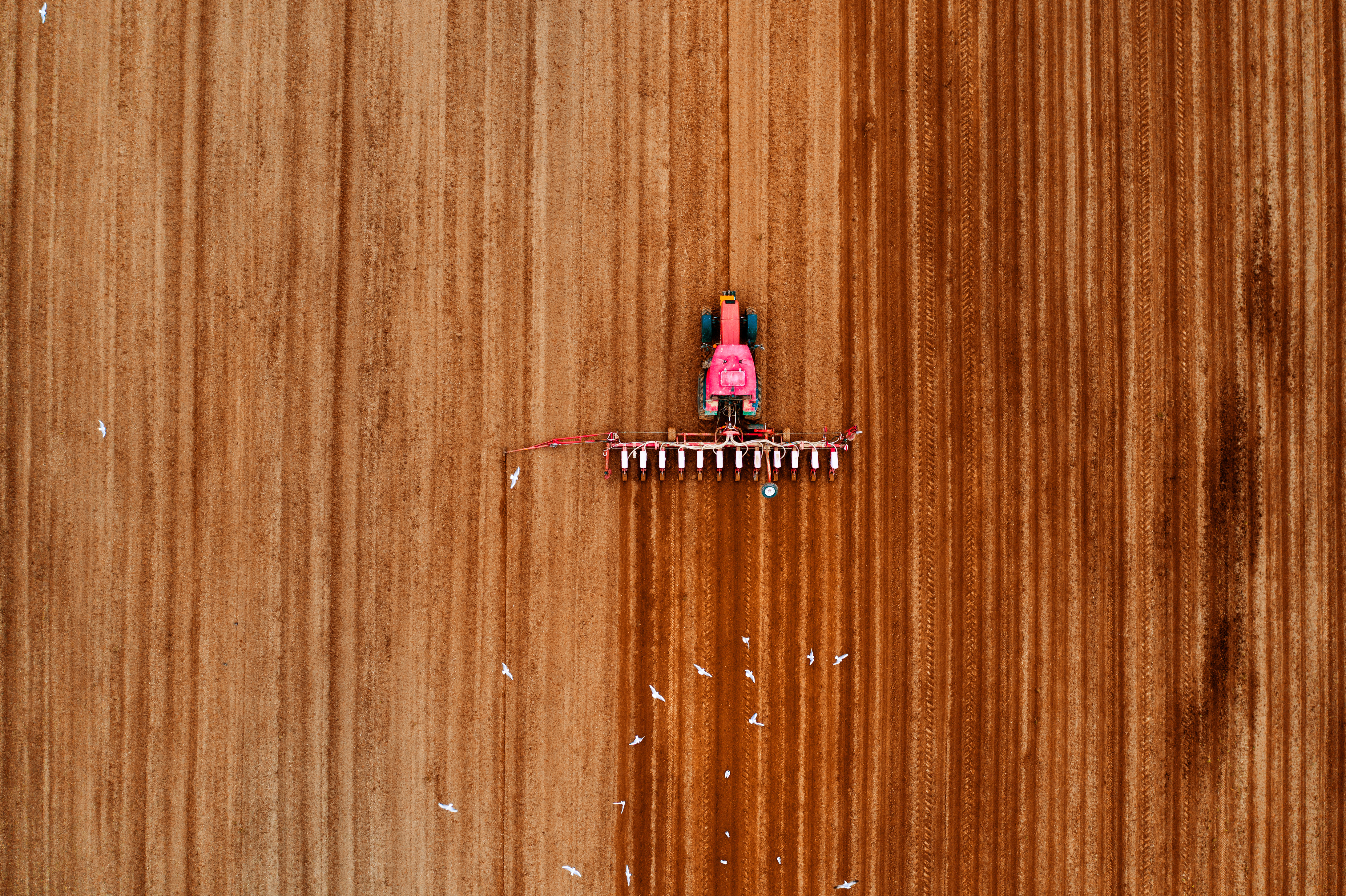 Agriculture
